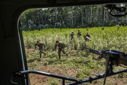 En este operativo de octubre de 2018, un grupo de soldados del 22a Brigada de Selva corren hacia un helicóptero aterrizado en un cultivo de coca en el sur de San Jose del Guaviare. Es una área de operaciones del ejército cercana al pueblo de Calamar.
