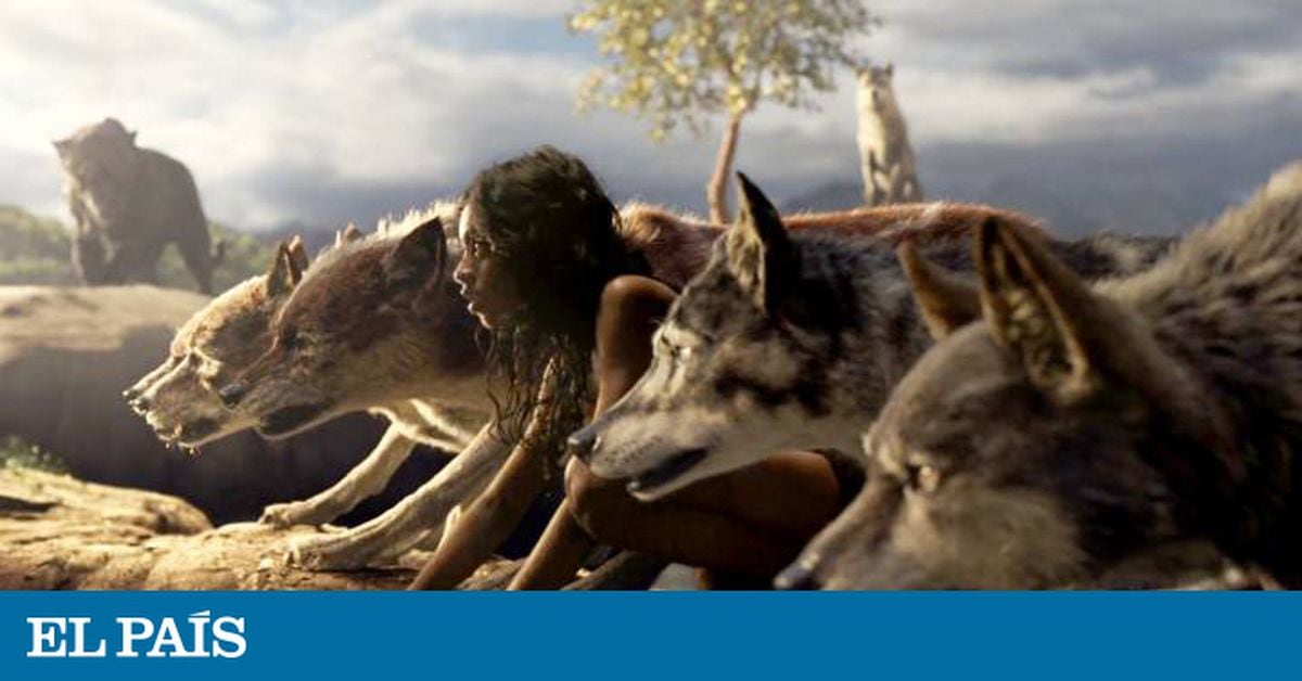 Tras los pasos salvajes de Mowgli, inspirado en un niño lobo indio |  Cultura | EL PAÍS