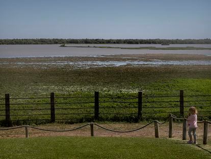 Doñana