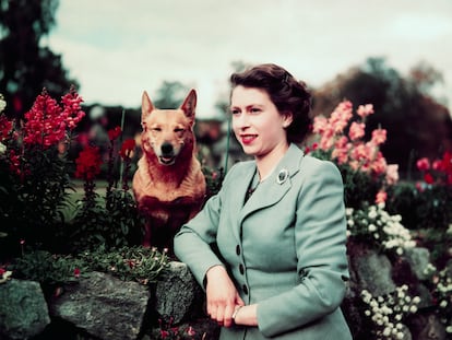 La reina Isabel II, en el castillo de Balmoral, en septiembre de 1952.