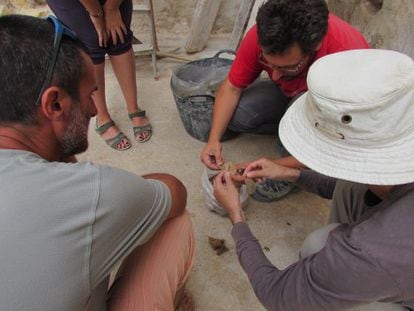 Estudiosos amb algunes de les peces trobades.