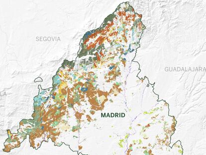 Los bosques de Madrid: desde el pinar de alta montaña a la dehesa mediterránea sin salir de la comunidad