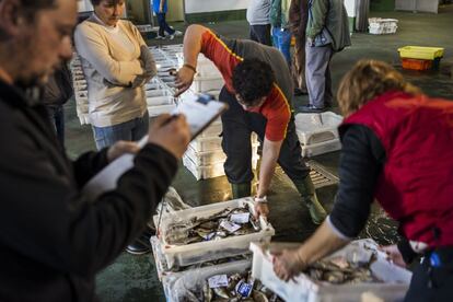 Imagen de una lonja de pescado.