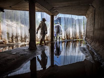 Los técnicos recogen muestras de aguas fecales en el colector norte de la ciudad de Valencia para su posterior análisis en busca de ARN del coronavirus.