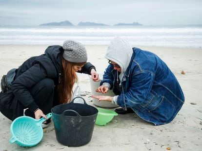Dos voluntarias recogen 'pellets' de una plana de Nigrán (Pontevedra), este martes.