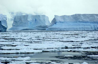 Fragmentos de la plataforma Wikins de la Antártida, que se ha resquebrajado por el deshielo producido por el calentamiento global.