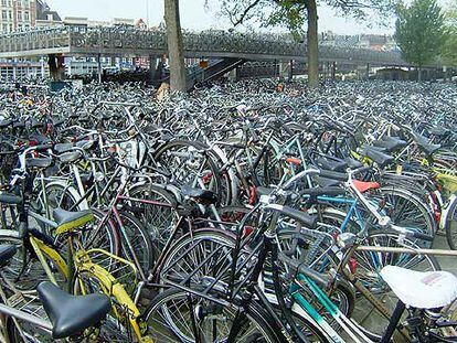 'Bicis', de Jacobo Molins Nuñez-Flores, de Valencia.