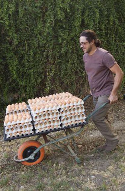 un trabajador transporta varios cartones de huevos ecológicos.