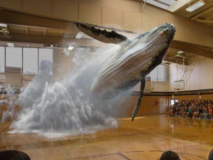 ¿Una ballena saltando en medio de un gimnasio? Con Magic Leap, en teoría, es posible.