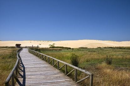 La estrella de este espacio natural es la enorme duna móvil que se alza tras la playa de A Ladeira. Tiene un kilómetro de longitud, 250 metros de anchura y 20 de altura. El Complexo Dunar de Corrubedo e Lagoas de Carregal e Vixán, entre la ría de Arosa y la ría de Muros y Noia, en el municipio coruñés de Riveira, empezó a formarse hace 15.000 años. En sus lagunas, una de agua dulce y otra salada, las aves migratorias reponen fuerzas e incluso algunas crían en este lugar. No son los únicos animales de la zona, pues las dunas de Corrubedo abrigan una gran diversidad animal y vegetal que se puede descubrir gracias a las pasarelas de madera que protegen el ecosistema. <br><br> <i>A 50 minutos en coche desde Santiago de Compostela.</i>