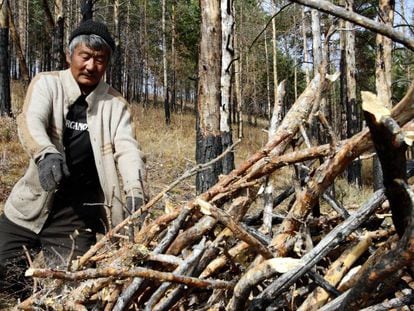 Un miembro de un grupo de usuarios de bosque en Tsagaan Uur (Mongolia) retira ramas para evitar incendios.