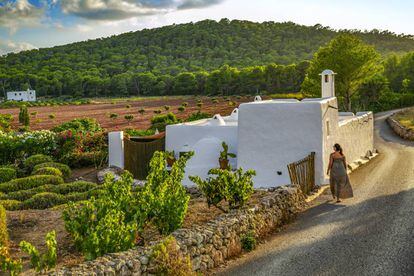 Un camino a las afueras de la localidad de Santa Agnès, al norte de Ibiza. 
