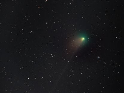 Aspecto del cometa el 16 de enero en la foto de un aficionado.