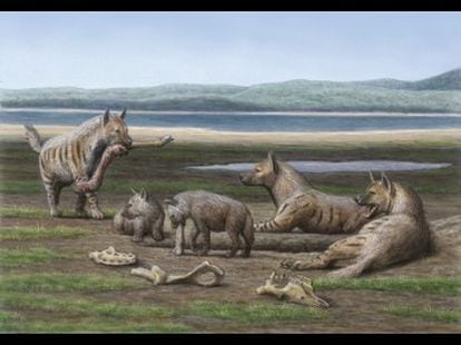 Recreación de una familia de hienas gigantes prehistóricas.