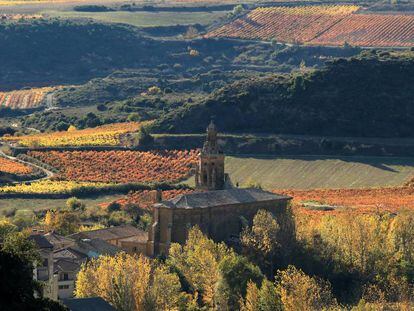 Viñedos de Ramón Bilbao en Ábalos (La Rioja).