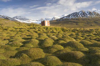 Visitar la península Trollaskagi (en la imagen) es un placer sobre todo desde que los túneles conectan los pueblos de Siglufjorour y Olafsfjorour. El espectacular paisaje de la península recuerda más a los fiordos occidentales que a las colinas del norte de Islandia. Además de por sus vistas y magníficas excursiones, destaca por la curiosa piscina Hofsós, junto a un fiordo; las tiendas de productos locales de Lónkot; el museo del arenque de Siglufjorour; la observación de ballenas y los ferris que van a las islas Grímsey y Hrísey.