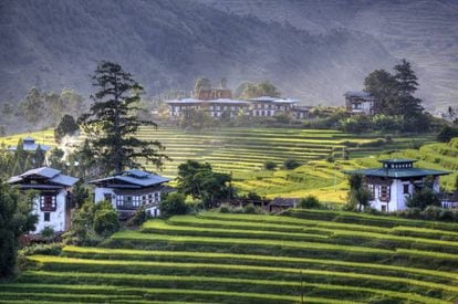 Casas de arquitectura tradicional y campos de arroz en el valle de Punakha.