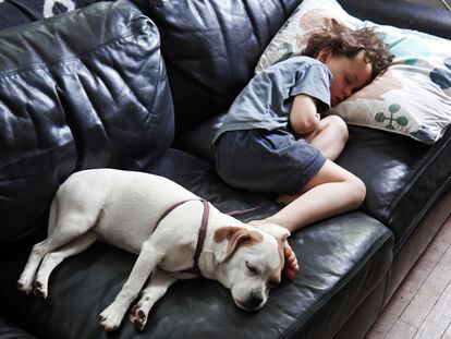 Un niño duerme la siesta con su perro.