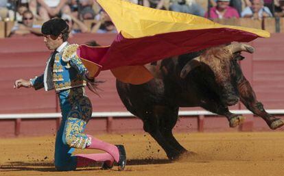 Manuel Escribano recibe a porta gayola a su primer toro. 