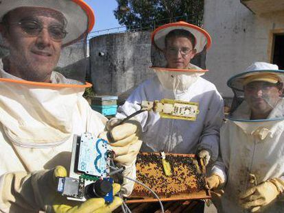 Investigadores de la unidad de Apicultura de la Universidad de Córdoba.