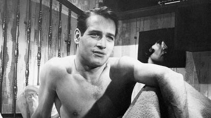 El actor Paul Newman.