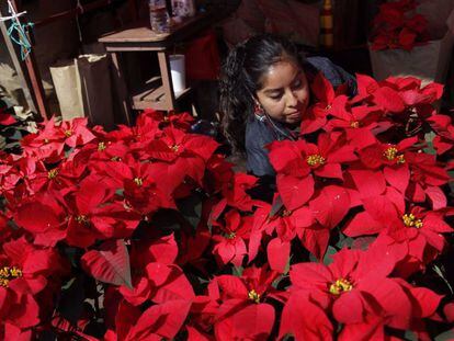 Vendedora de flores de Pascua.