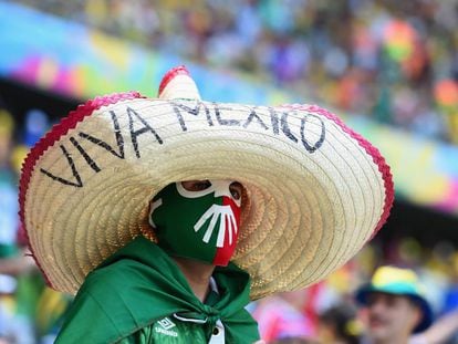 Un aficionado mexicano durante el Mundial de Brasil.