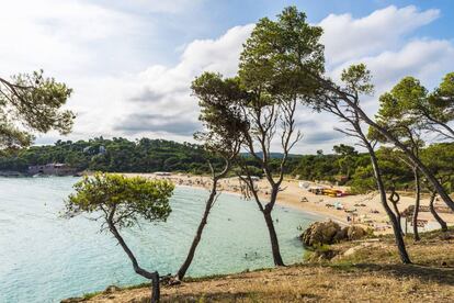 La playa de Castell, en Palamós (Girona). 