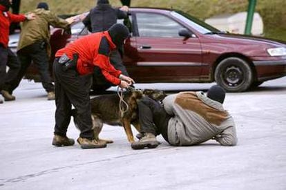 La demostración realizada ante la delegación parlamentaria, en la que se empleó munición y explosivos reales, ha incluido ejercicios de la unidad canina para la localización de drogas y explosivos. (EFE)