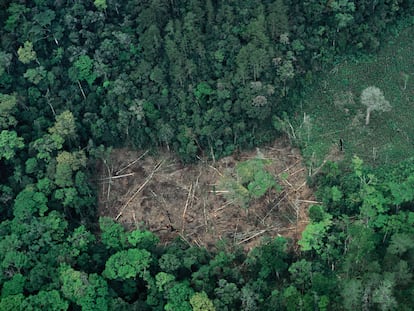 Deforestación en el Estado mexicano de Chiapas.