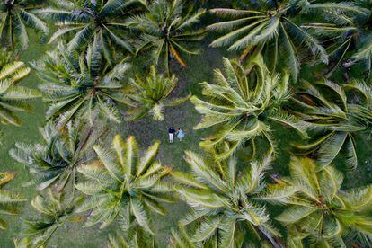 Una pareja mira el cielo tumbada entre palmeras en la isla de Huahine, en la Polinesia francesa.
