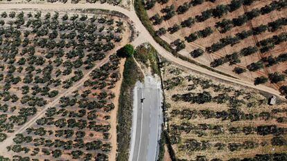 Espartinas/Sevilla/13-05-2019:  Carretera sin terminar de ejecutar que uniría la localidad sevillana de Espartinas con la A49.
 FOTO: PACO PUENTES/EL PAIS