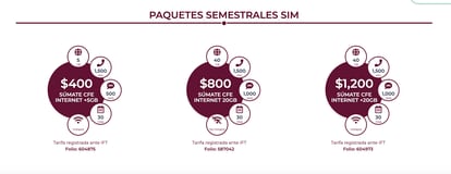 Algunos de los planes que ofrece la Comisión Federal de Electricidad en su sitio web. 