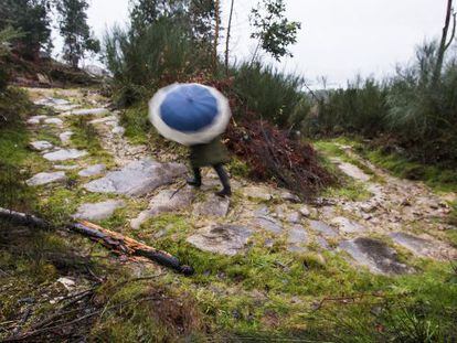 Camino hist&oacute;rico catalogado que ser&aacute; sepultado 