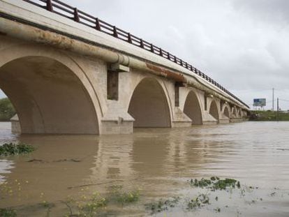 El r&iacute;o Guadalete, a su paso por la zona rural de Jerez. 