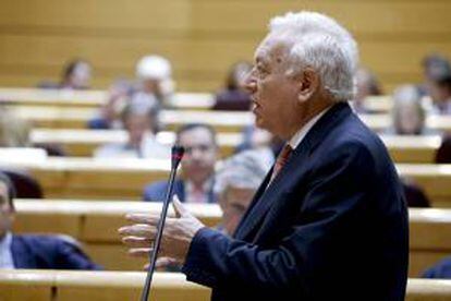 El ministro de Asuntos Exteriores, José Manuel García-Margallo, durante su intervención en la sesión de control al Gobierno en el pleno del Senado.