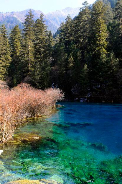 Los vivos azules y verdes del lago del Tigre se suman a los ocres de la vegetación en otoño e invierno. Naturaleza en estado puro en el país más contaminado del planeta.