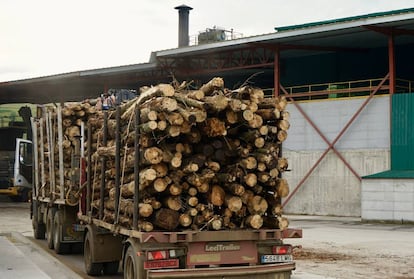 En la fábrica entran camiones cargados con madera desechada.