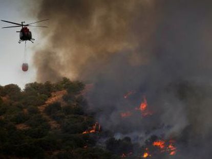 Los agentes forestales han rescatado este lunes un nido de águila imperial amenazado por las llamas