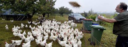 Una explotación de gallinas ecológica en Alemania, uno de los países donde este tipo de producto tiene más predicamento.