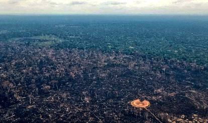 Tierra quemada en la Amazonia de Colombia, en una imagen de febrero de este año.