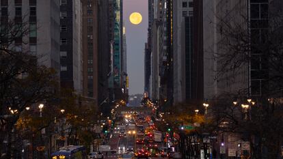 La luna de castor, este lunes en Nueva York (EE UU).