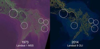 El sat&eacute;lite Landsat muestra el avance del mar en el delta del Misisipi entre 1973 y 2014.