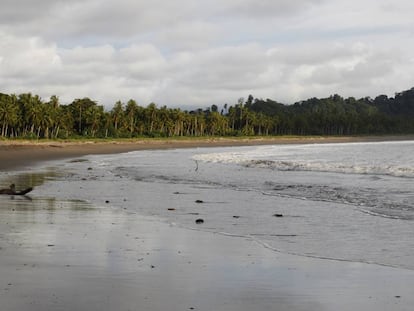 Playa de Jurubirá a la que llegan 'pacas' de droga durante la madrugada.