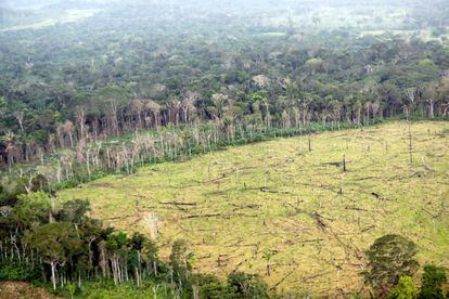 Área deforestada en zona rural de Nueva Colombia.