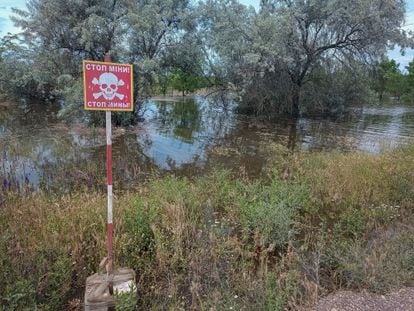 Una señal advierte del peligro de minas en una zona inundada en los alrededores de la presa de Nova Kajovka, el 8 de junio.