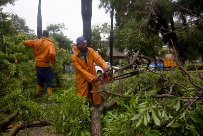 Un grupo de trabajadores retira árboles que cayeron sobre las calles de La Habana tras el paso del huracán.  'Ian' abandonaba Cuba para dirigirse a Florida este miércoles, pero sus efectos seguirán sintiéndose durante horas en la isla, con lluvias intensas y vientos fuertes durante toda la jornada.