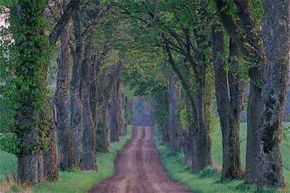 Paisaje de Scania, en Suecia.