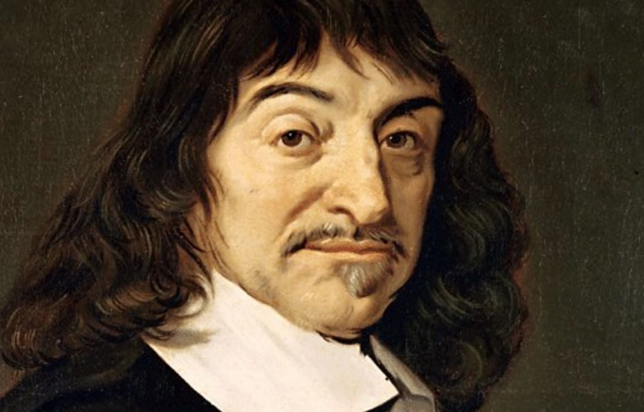 La mosca de Descartes
