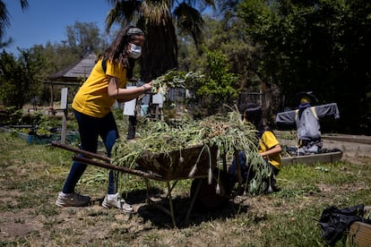 Dos alumnas deshierban en la huerta.